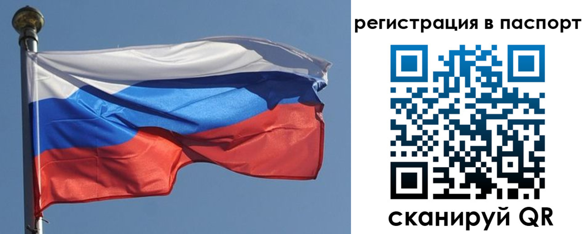 прописка для работы в Мытищах